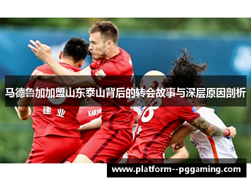 马德鲁加加盟山东泰山背后的转会故事与深层原因剖析 马德鲁加加盟山东泰山背后的转会故事与深层原因剖析