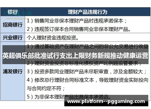 英超俱乐部批准试行支出上限财务新规推动健康运营