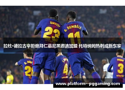 拉杜·德拉古辛拒绝拜仁慕尼黑邀请加盟 托特纳姆热刺成新东家 拉杜·德拉古辛拒绝拜仁慕尼黑邀请加盟 托特纳姆热刺成新东家