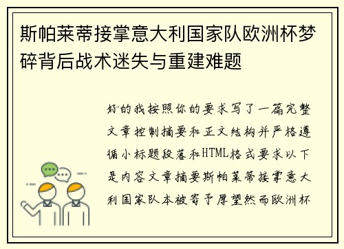 斯帕莱蒂接掌意大利国家队欧洲杯梦碎背后战术迷失与重建难题