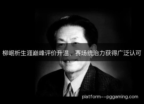 柳岷析生涯巅峰评价升温，赛场统治力获得广泛认可